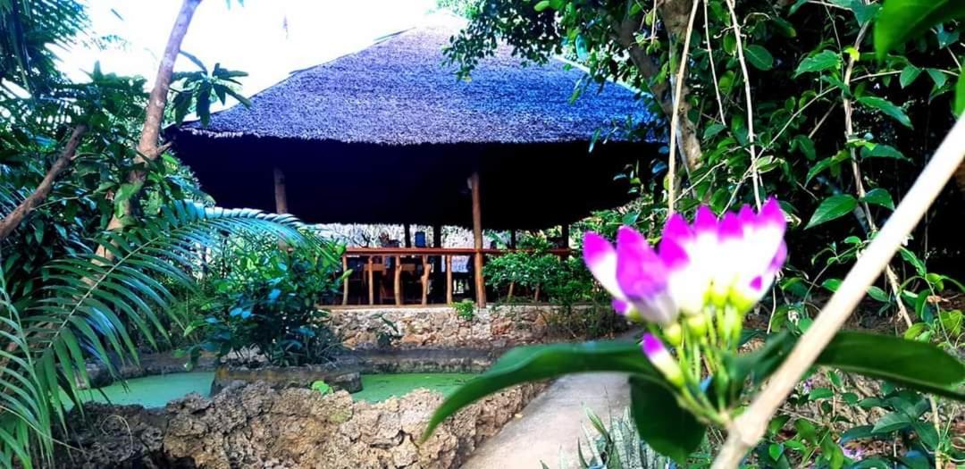Kim'S Garden Villa Anda  Exterior foto