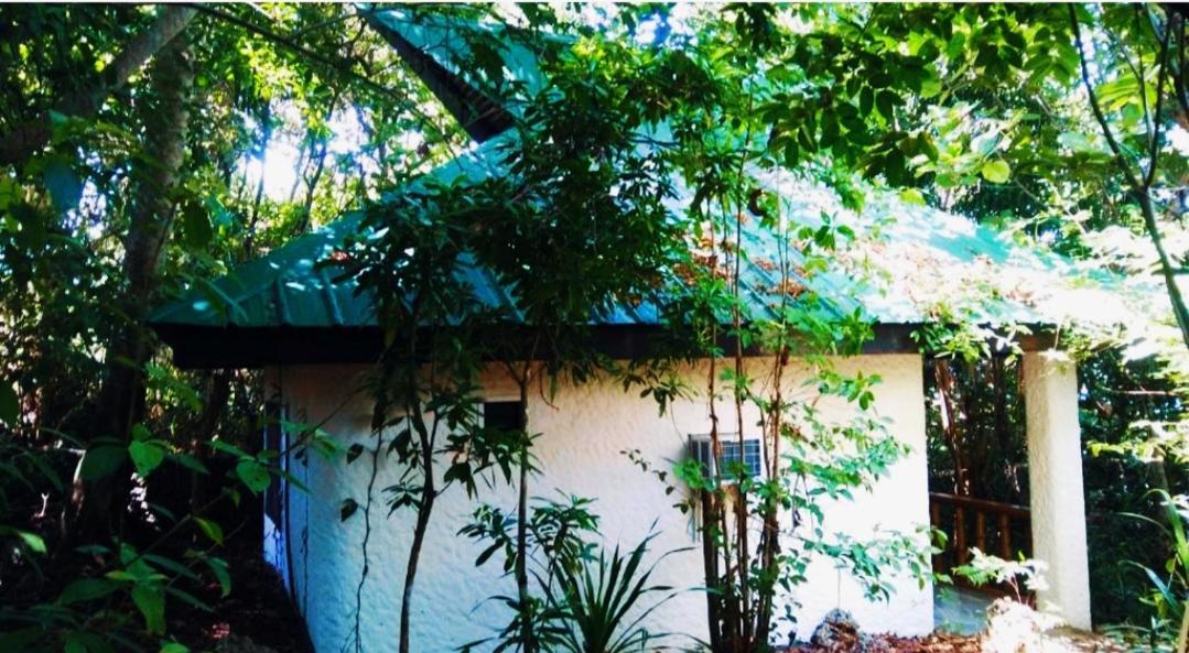 Kim'S Garden Villa Anda  Exterior foto