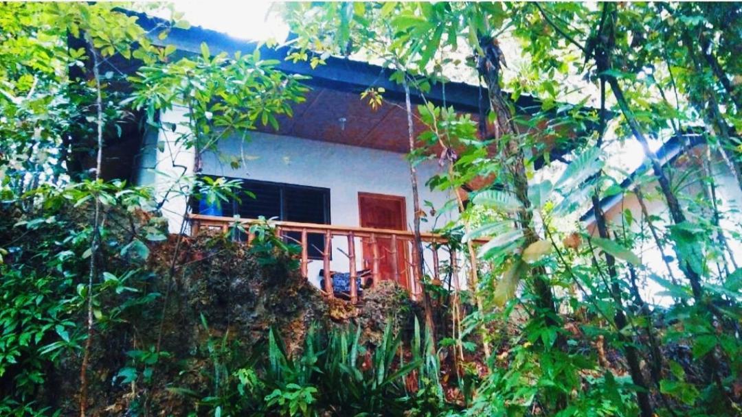 Kim'S Garden Villa Anda  Exterior foto