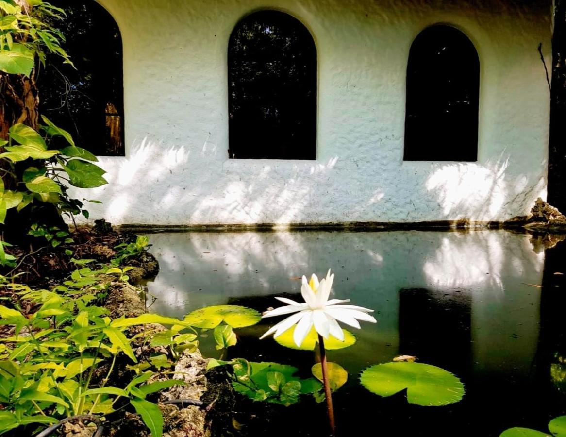 Kim'S Garden Villa Anda  Exterior foto