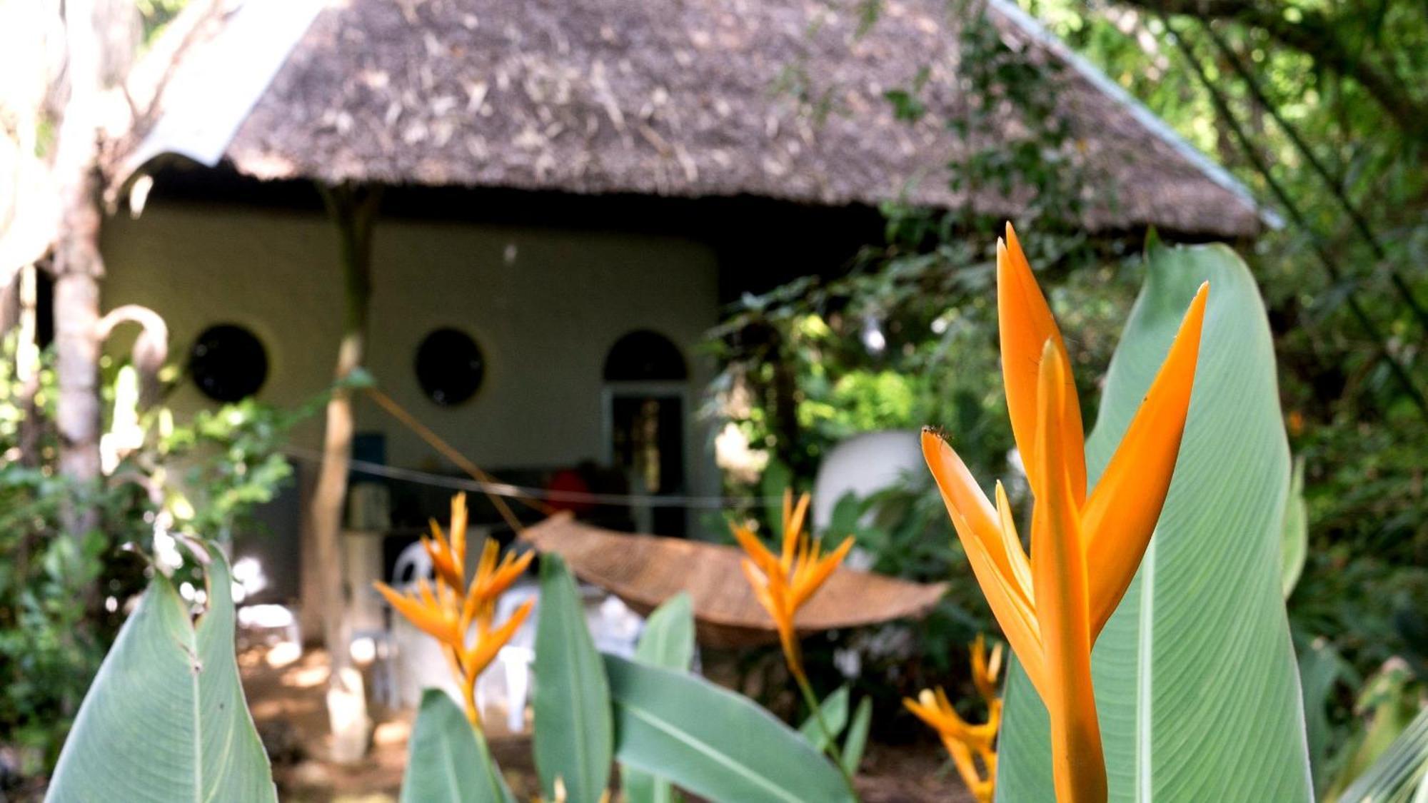 Kim'S Garden Villa Anda  Exterior foto