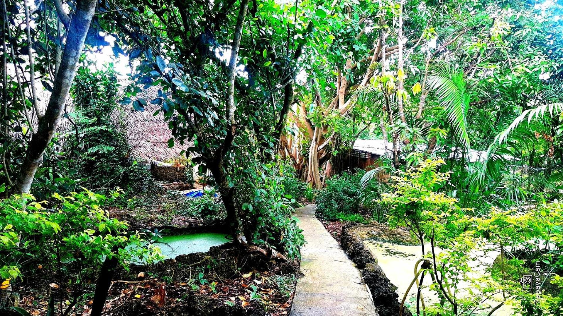 Kim'S Garden Villa Anda  Exterior foto