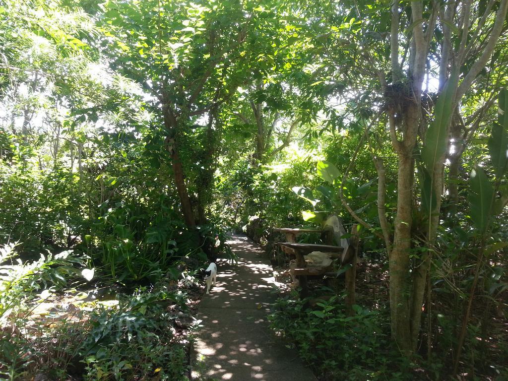 Kim'S Garden Villa Anda  Exterior foto