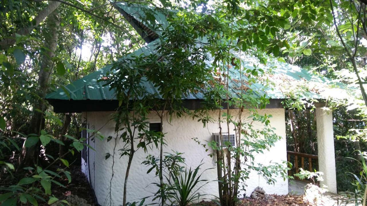 Kim'S Garden Villa Anda  Exterior foto